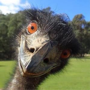 Meet your Posher, Elle